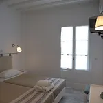 Asimina 투를로스