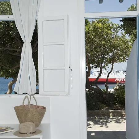 Asimina تورلوس